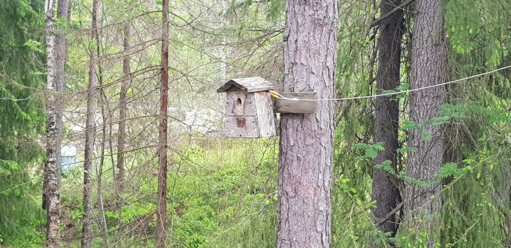 Birdhouse